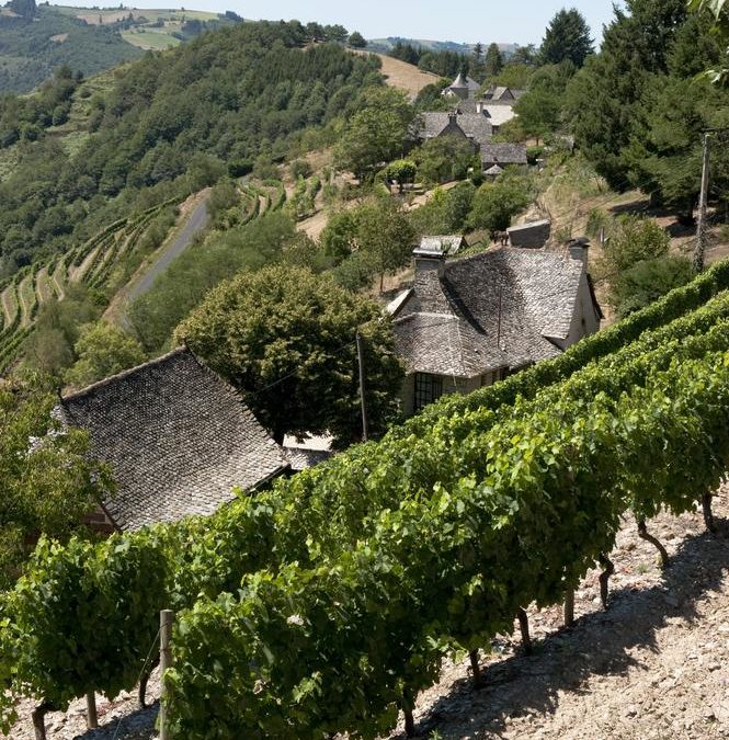 PDO Entraygues-Le Fel